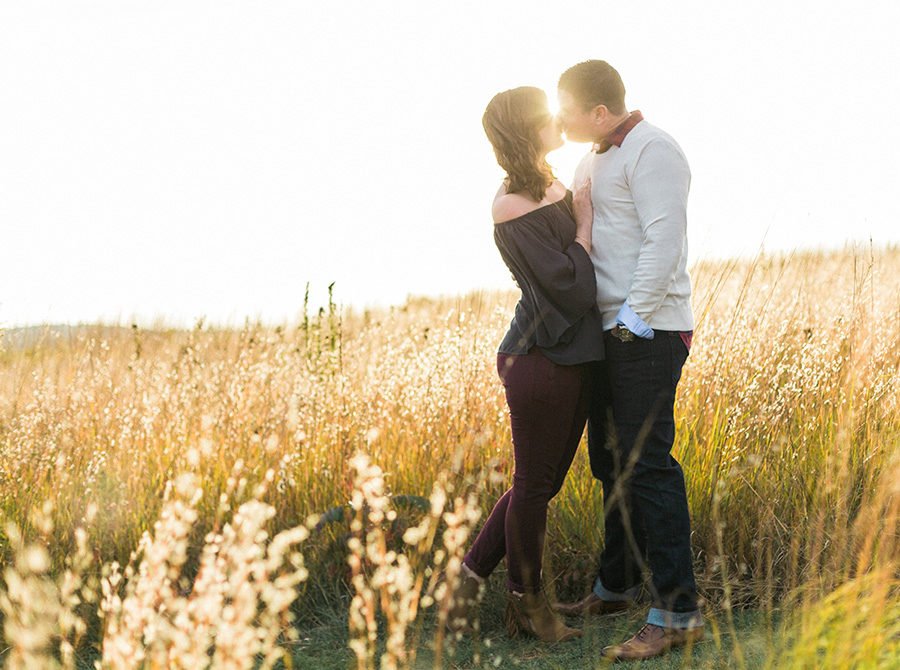 retzer nature center, outdoor organic chic elegant engagement session in milwaukee wisconsin midwest, floral dress, fall field at sunset