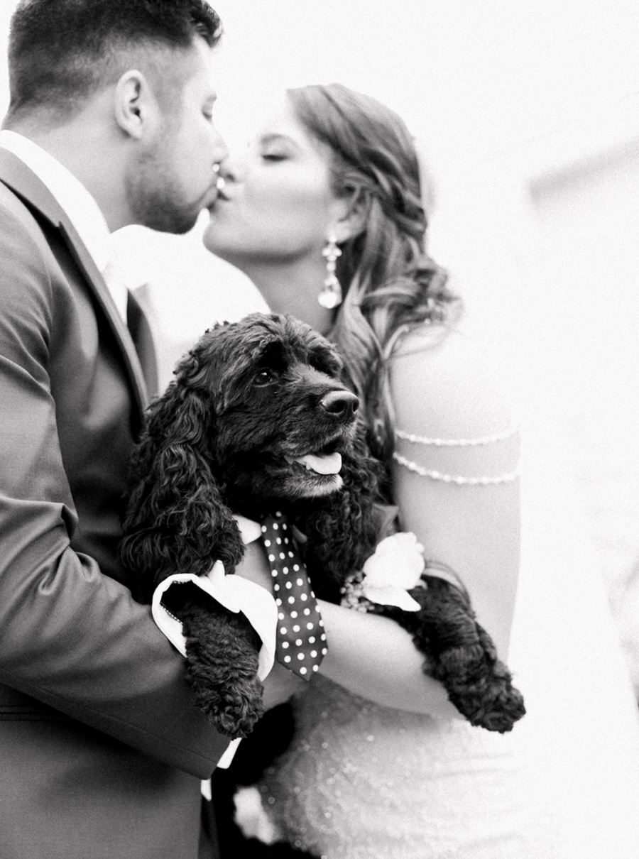 bride and groom portraits with dog, chic industrial chicago, IL wedding at winnetka community house and ignite glass studios, blush pink and gold colors, photo by Laurelyn Savannah Photography - 15