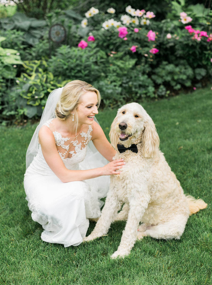 bride and dog portraits, classic, elegant and romantic blue and white wedding in downtown Madison, Wisconsin, and Blackhawk Country Club, photo by Laurelyn Savannah Photography
