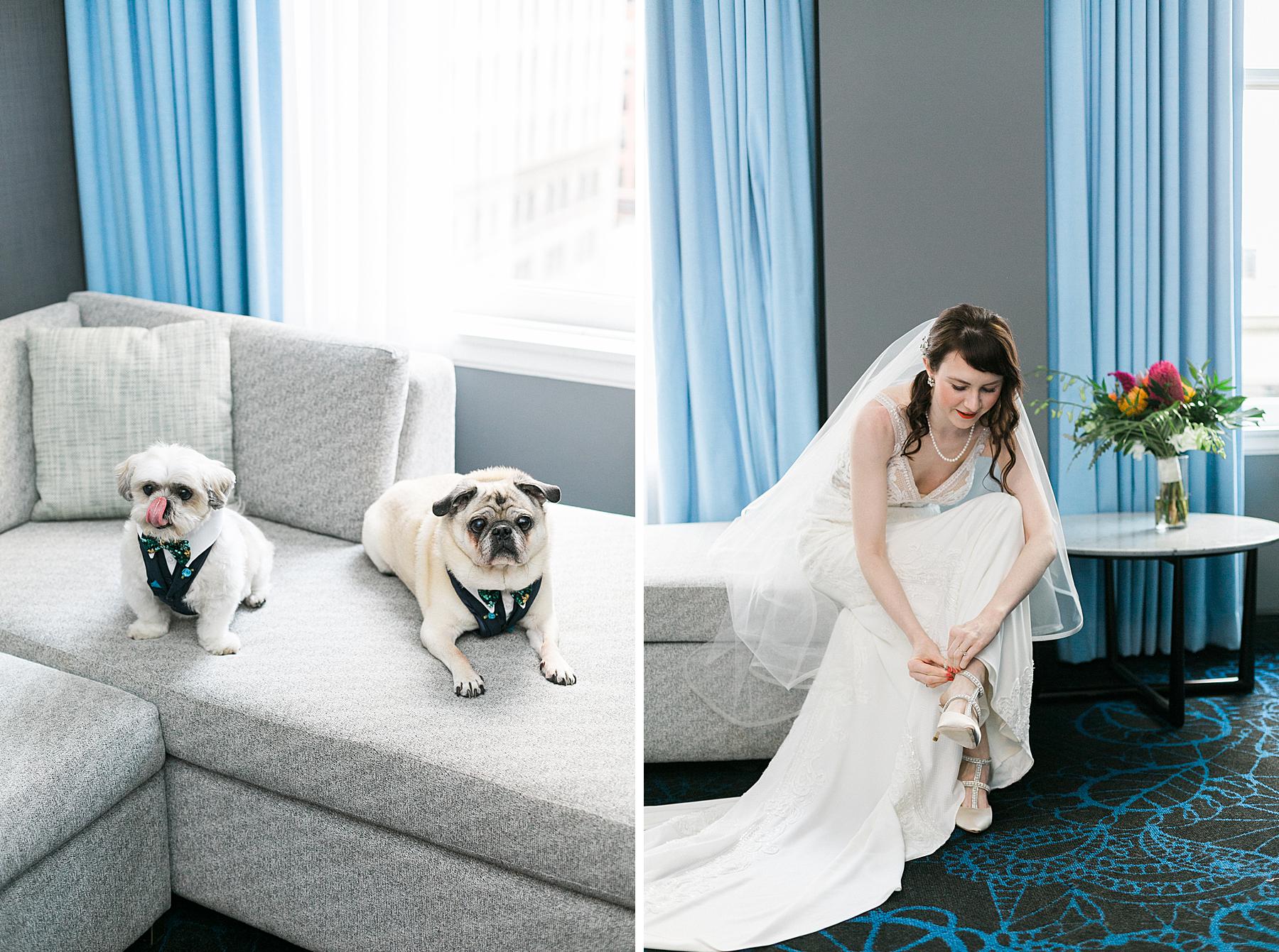 bride getting ready for a kimpton gray chicago boleo wedding with dogs
